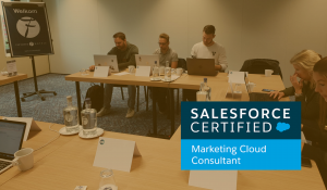 Salesforce Marketing Cloud Consultant training (in company) – Journey Sns-Brigh10